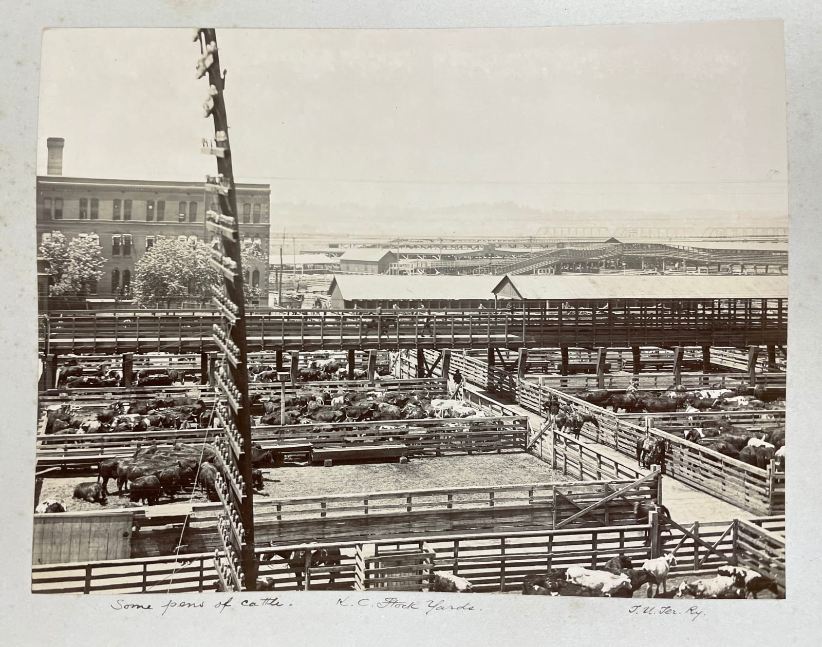 E.J. Davison, Sunlight Sketches in Missouri and Arkansas. Being photographs of Kansas City and along the Line of The Kansas City, Pittsburg & Gulf R.R." Kansas City, 1895