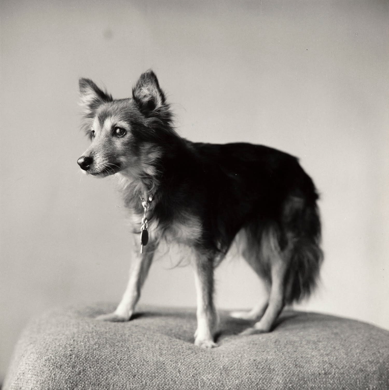 Peter Hujar, Fanny, 1978