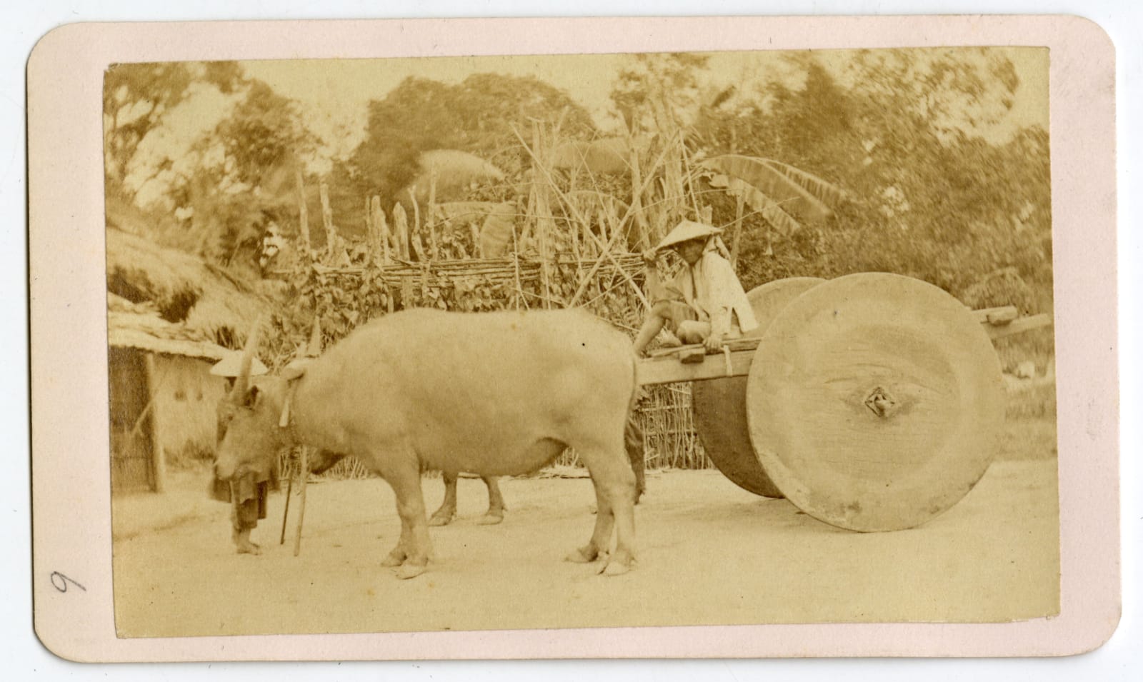 Émil Gsell, Fifteen Carte-de-Visite Portraits of Vietnamese Subjects, 1860s