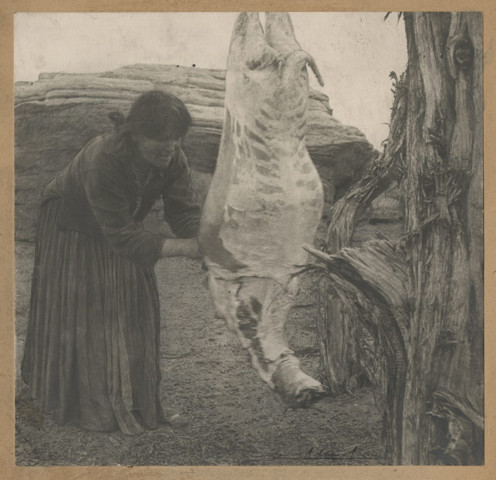 Laura Adams Armer, Collection of Pictiorialist Portraits of the Hopi and Navajo, 1920s