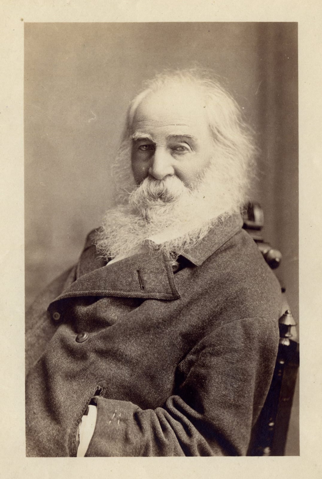 Edy Brothers, Portrait of Walt Whitman, 1880