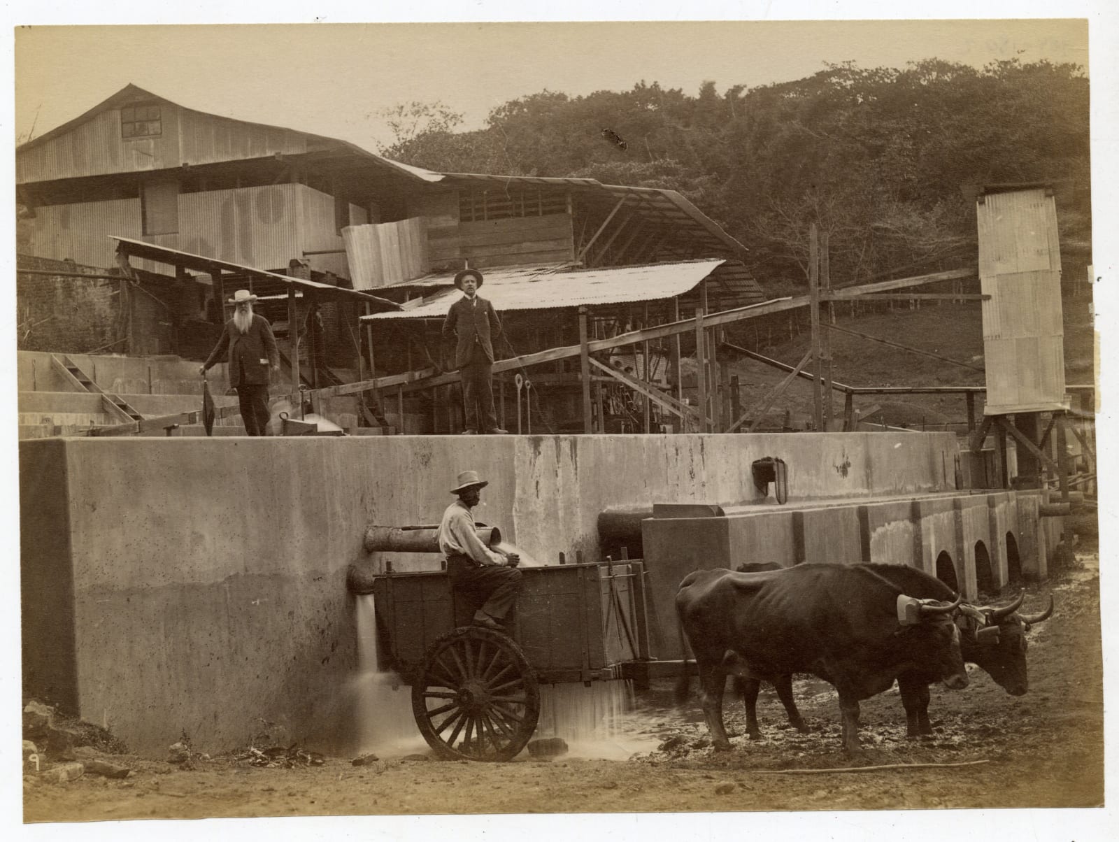 Paynter Bros. (attributed), Eight Views of Coffee Production in Costa Rica in the 19th-Century, 1890s