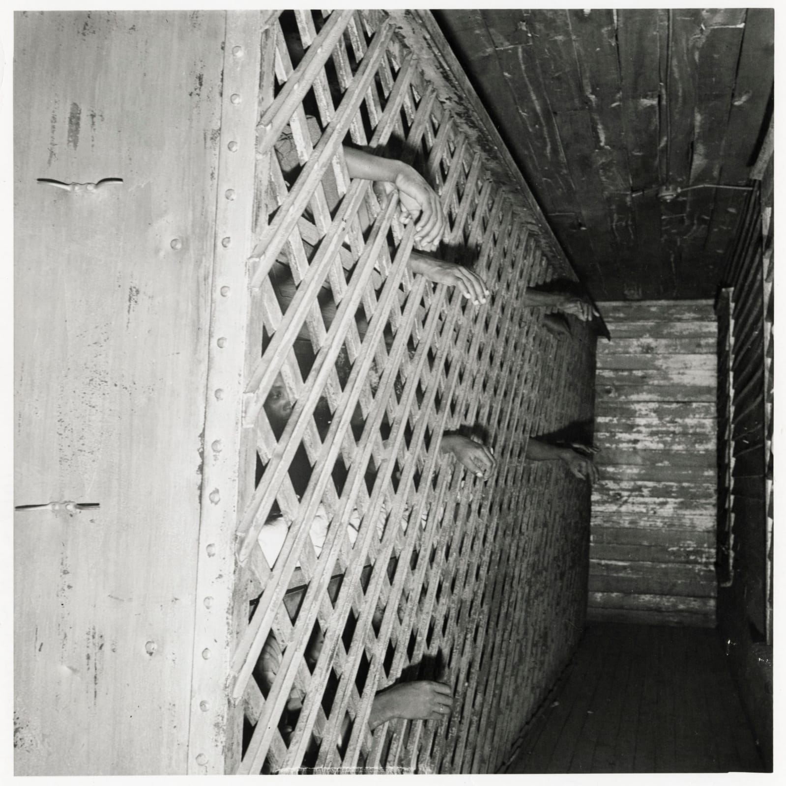 Jack Delano, Convict Camp, Greene Co., Georgia, 1941