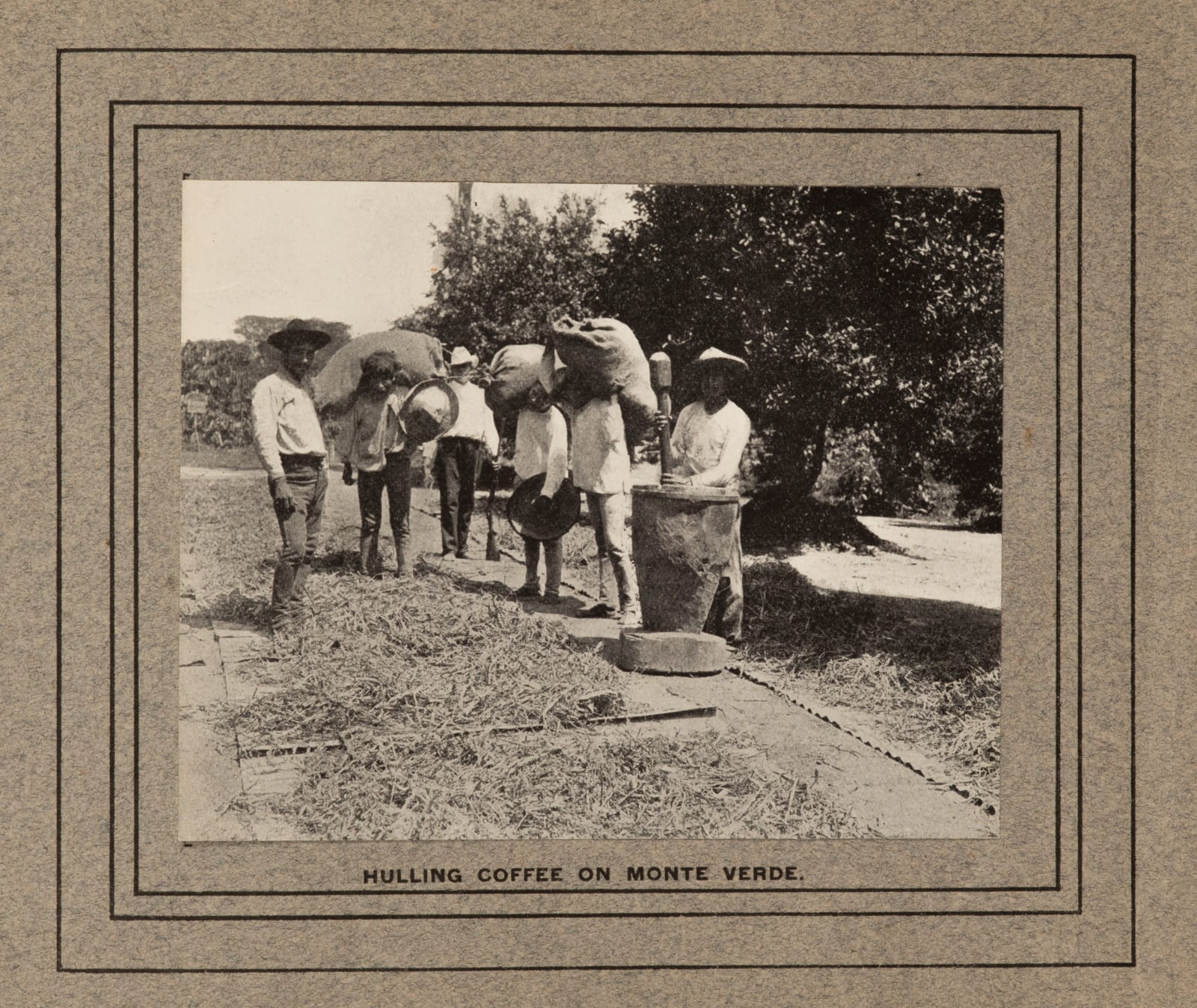 [Continental Commercial Company], Early 20th-Century Promotional Booklet for a Plantation in Monte Verde, Mexico, 1900s
