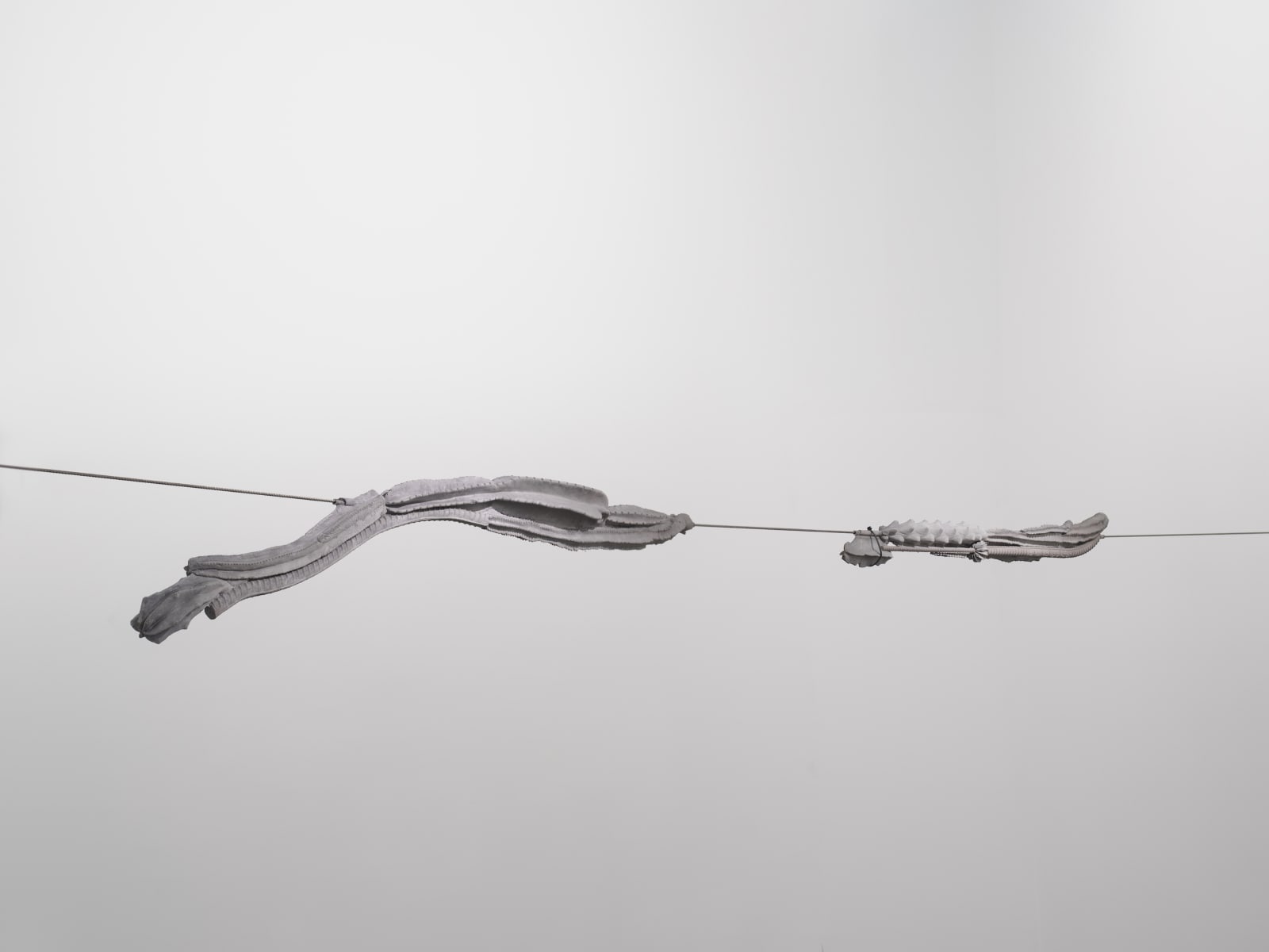 ZHANG Ruyi, Tensile Cylindrical Structure 紧绷的柱形结构, 2019
