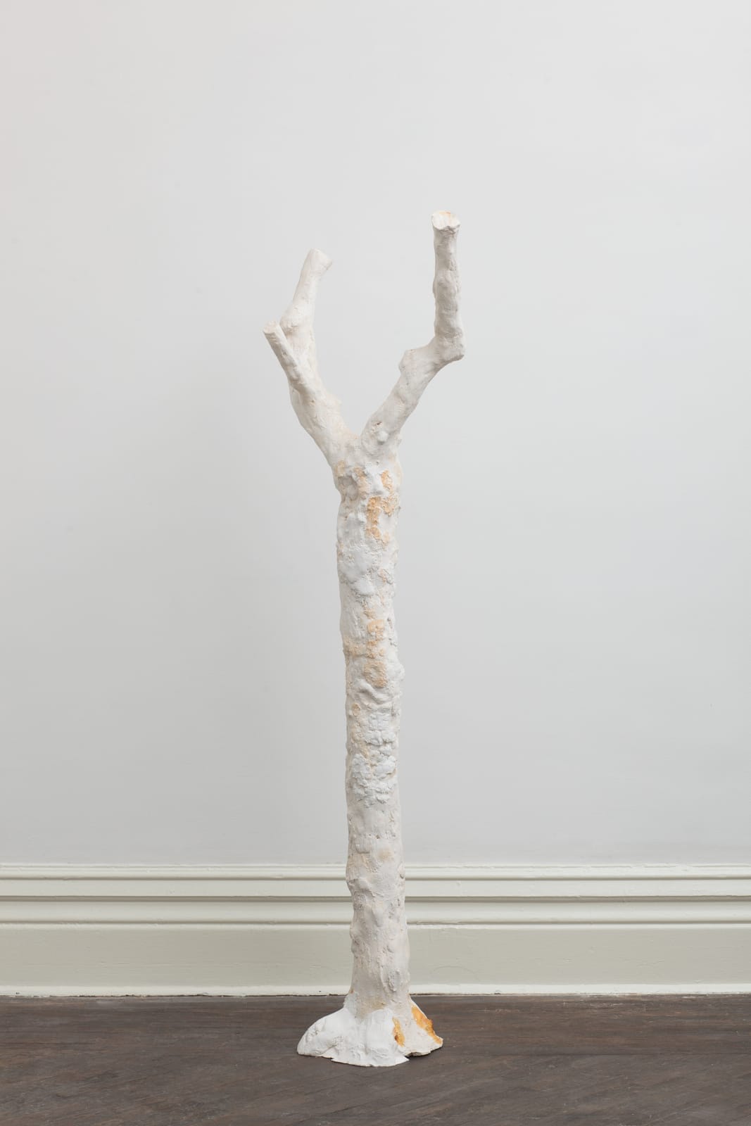 SU Chang, Tree N0.7 树的肖像 7, 2015