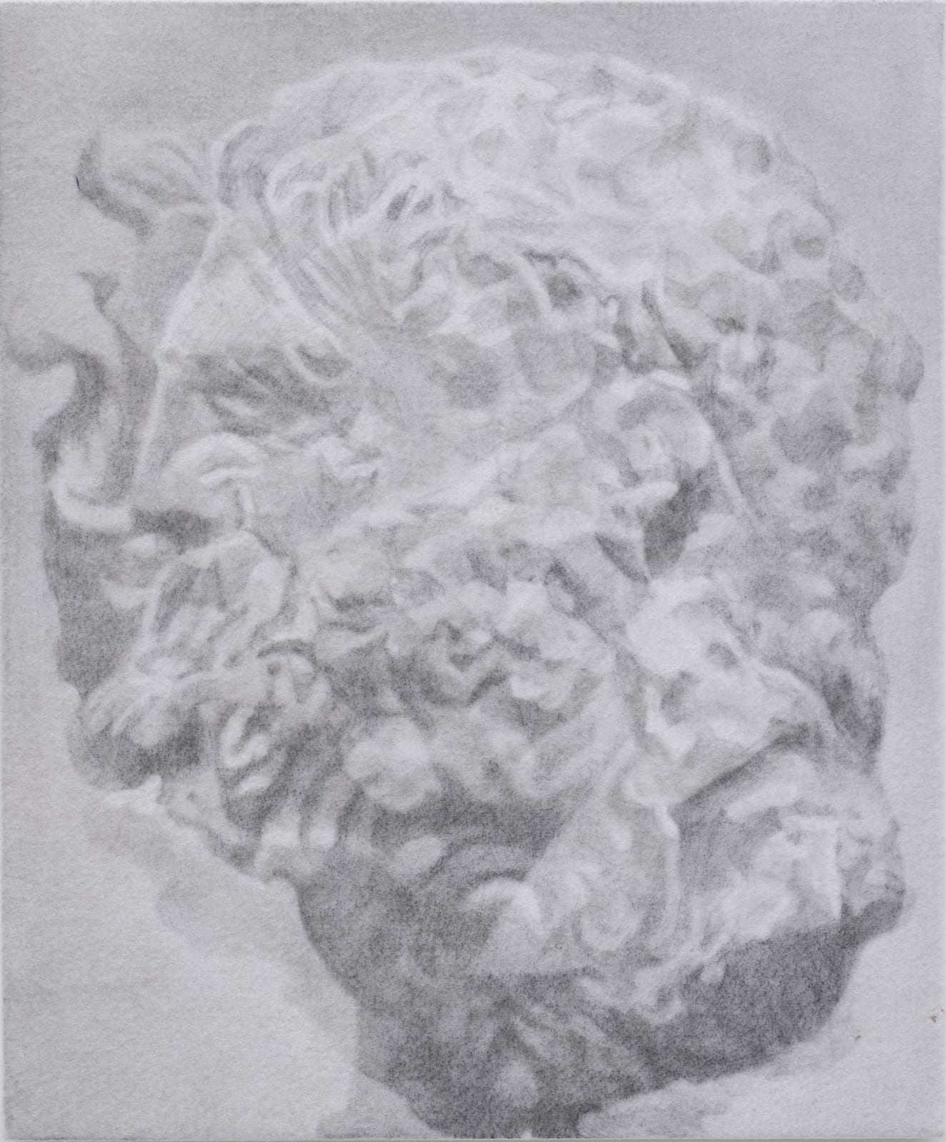 ZHANG Yunyao, Study in the Head 头部习作, 2017