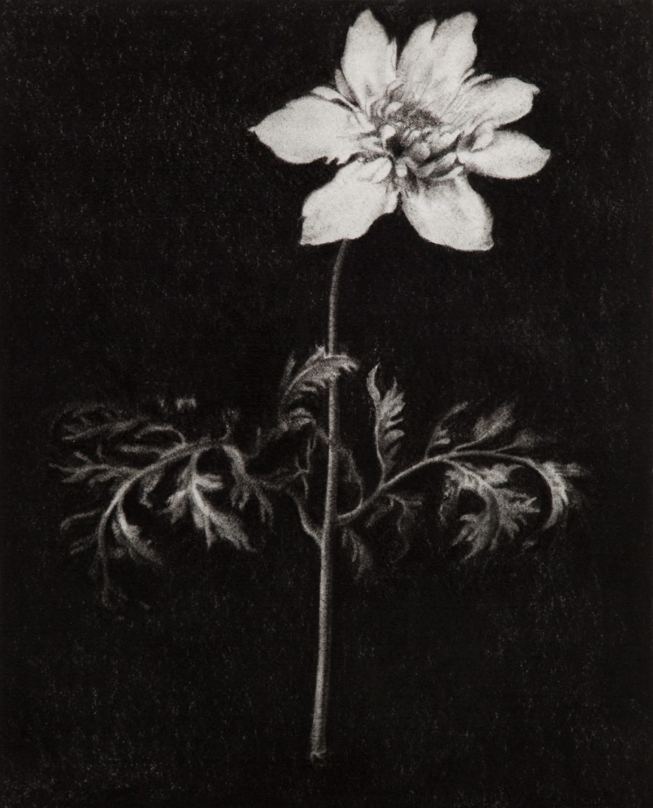 ZHANG Yunyao, The Shape of the Day 白昼的轮廓, 2013