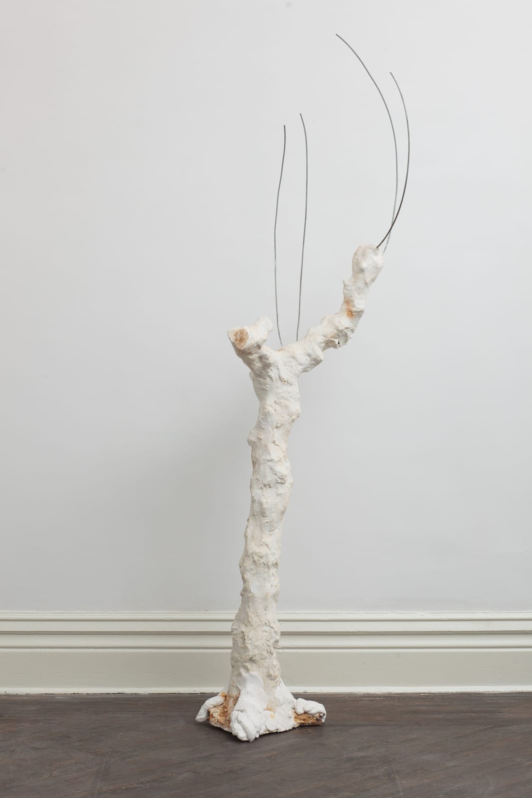 SU Chang, Tree N0.6 树的肖像 6, 2015