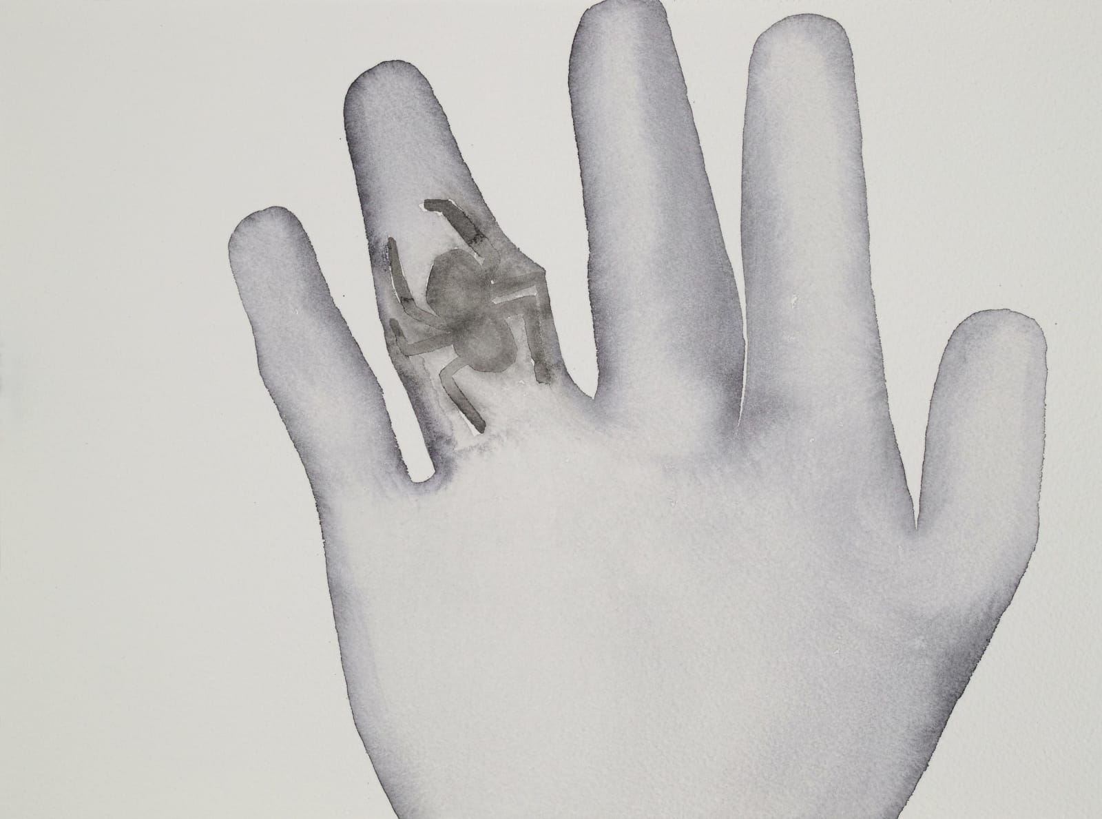 HU Zi, Spider, 2016