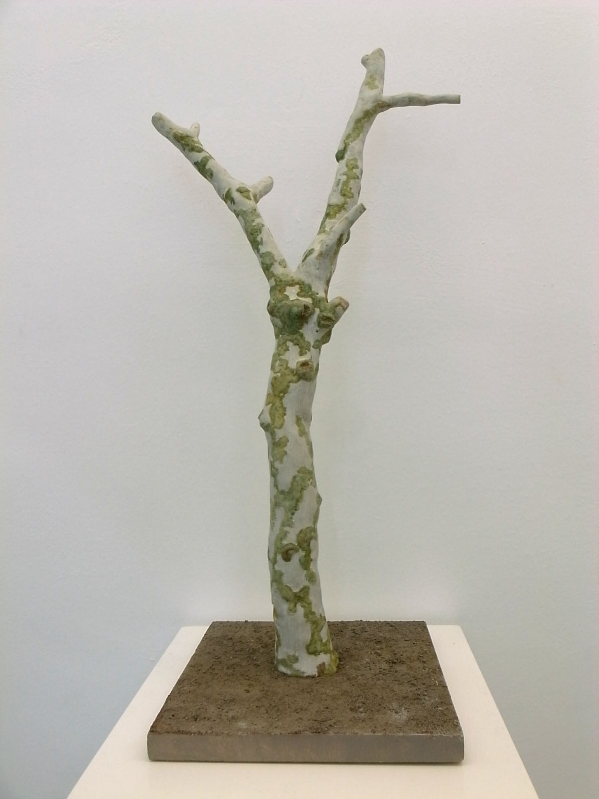 SU Chang, A Plane Tree 一颗法桐, 2012