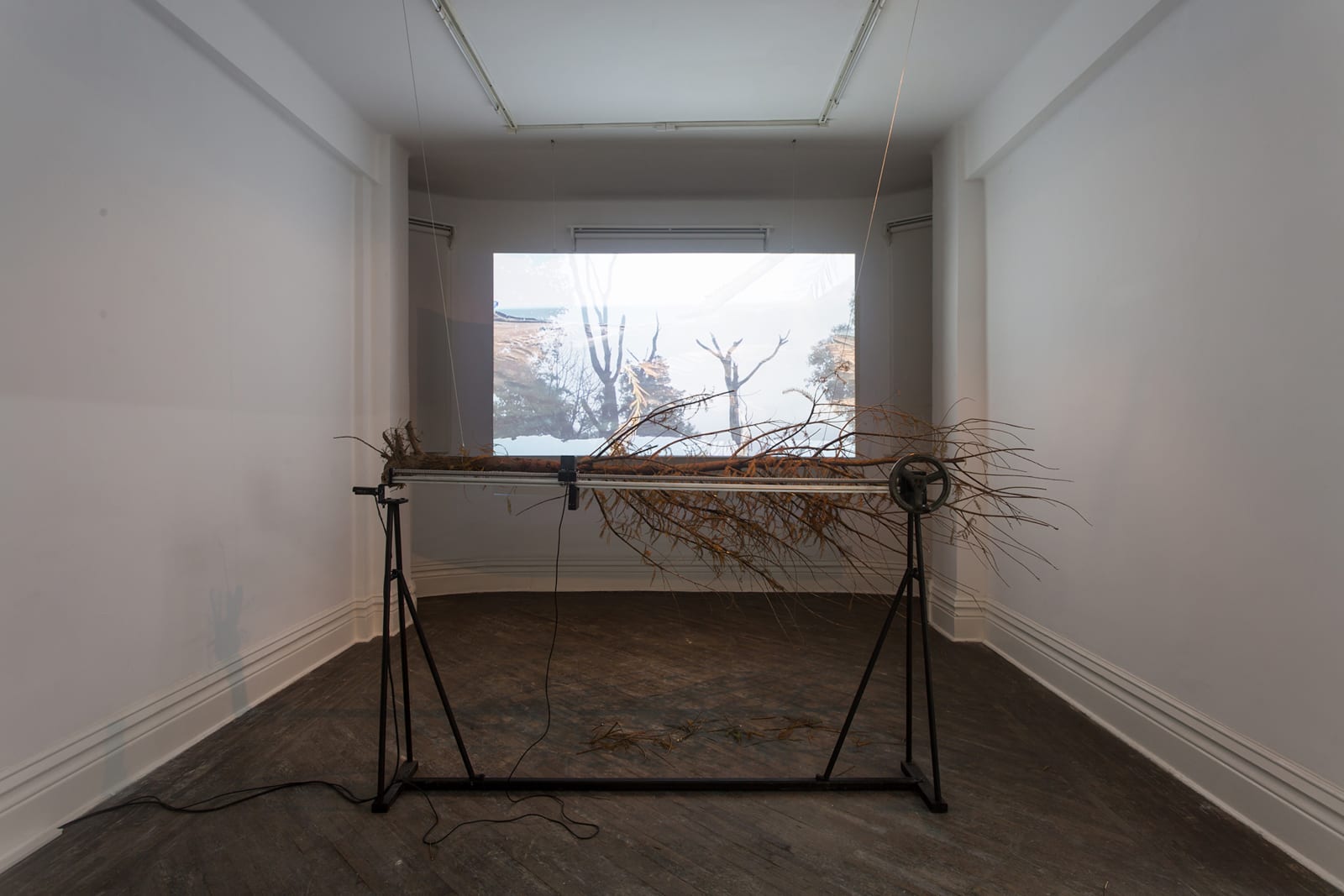 HU Weiyi, A Brief History Of Plant 植物简史, 2016