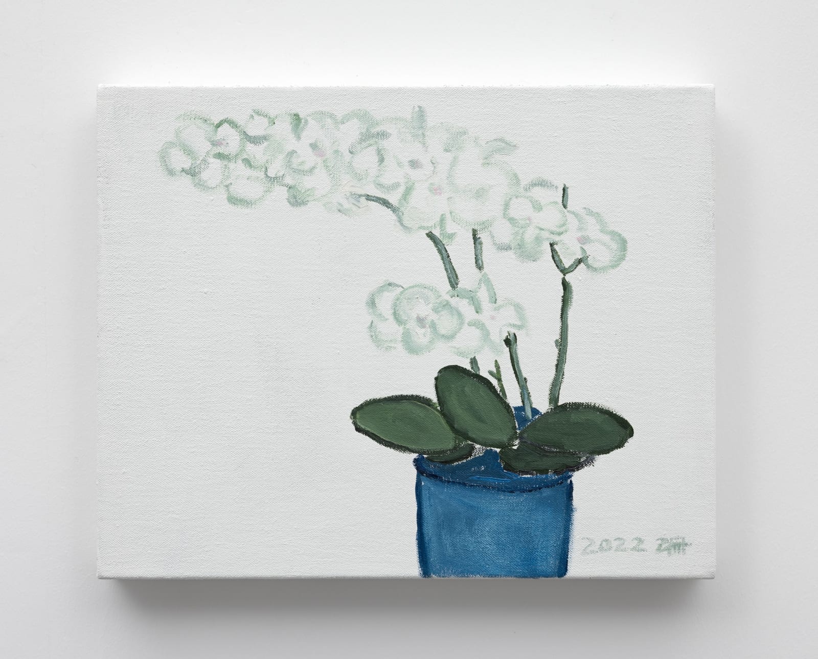 LI Shan, Phalaenopsis 蝴蝶兰, 2022