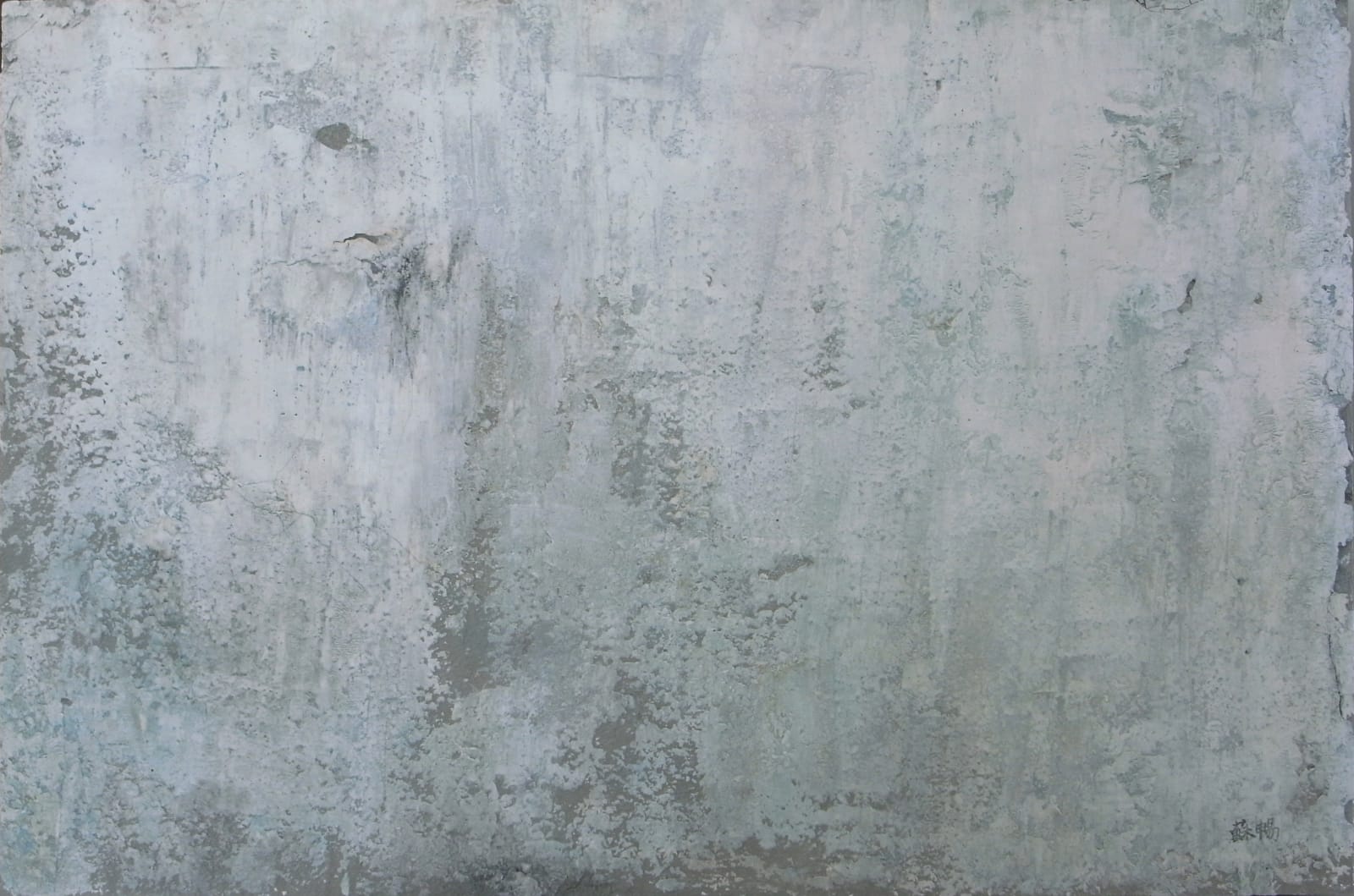 SU Chang, Portrait of the Wall N0.2 墙的肖像 2, 2012