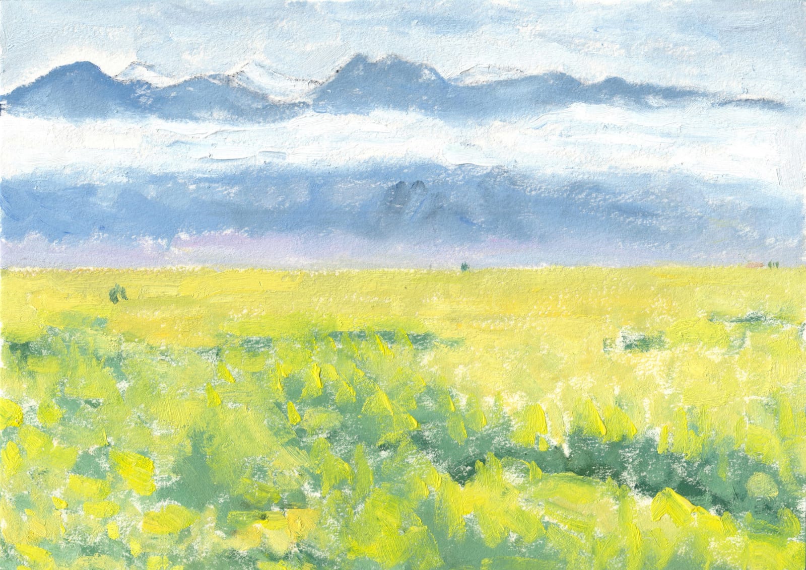 LI Shan, Rape Flowers in the foothills (Balikun Grassland) 油菜花在天山下（巴里坤草原）, 2021