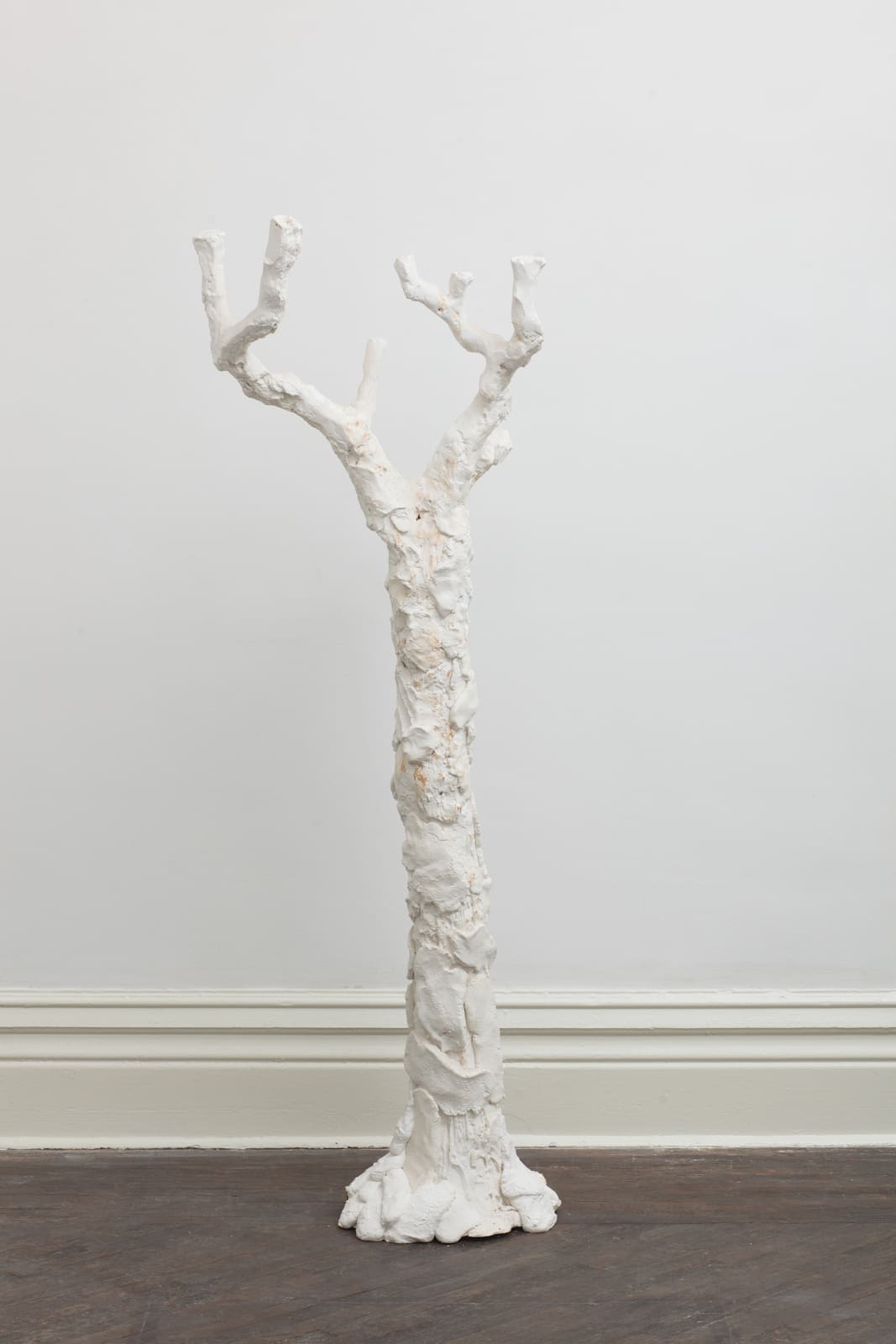 SU Chang, Tree N0.8 树的肖像 8, 2015