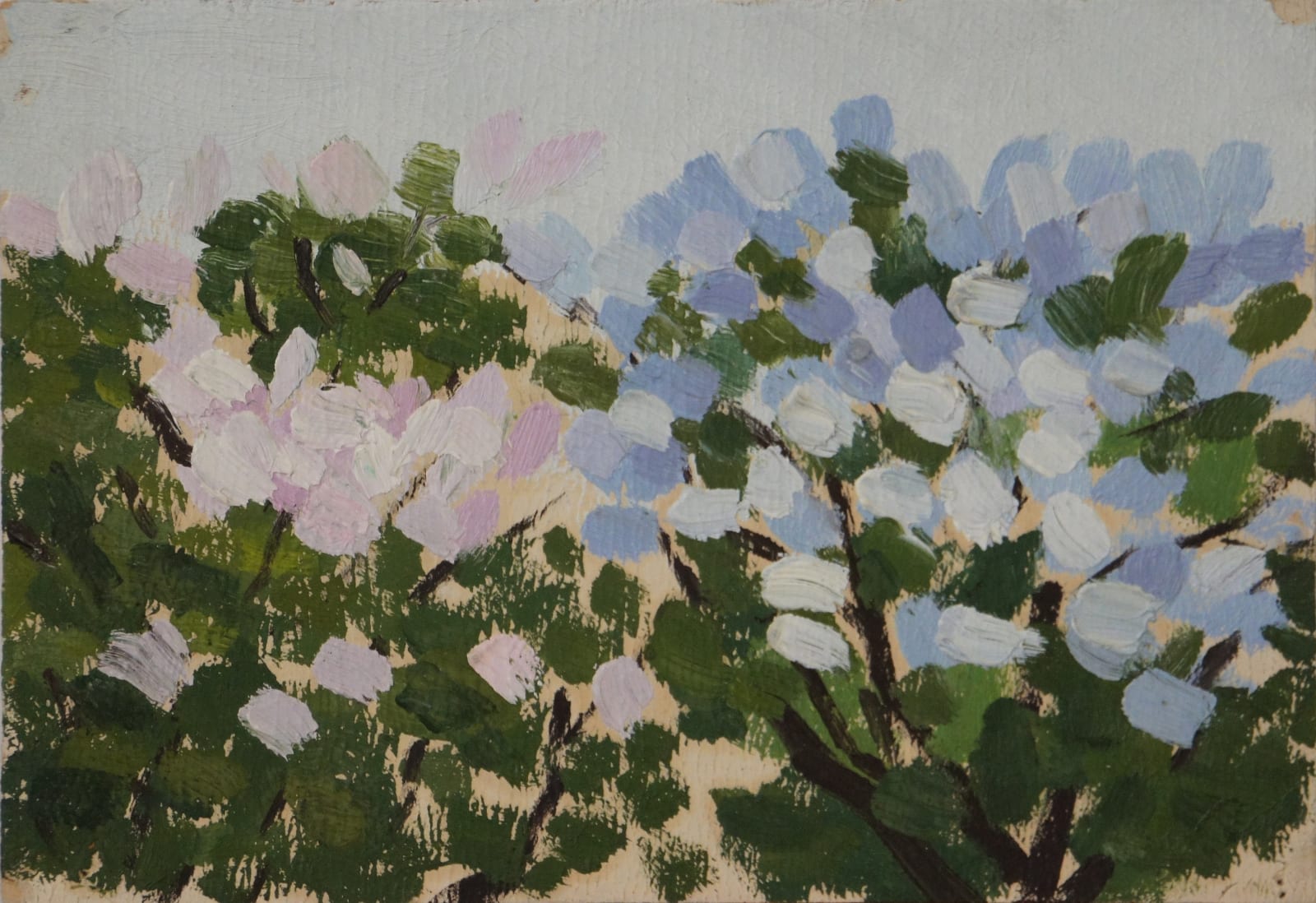 LI Shan, Lilac 丁香, 1970s
