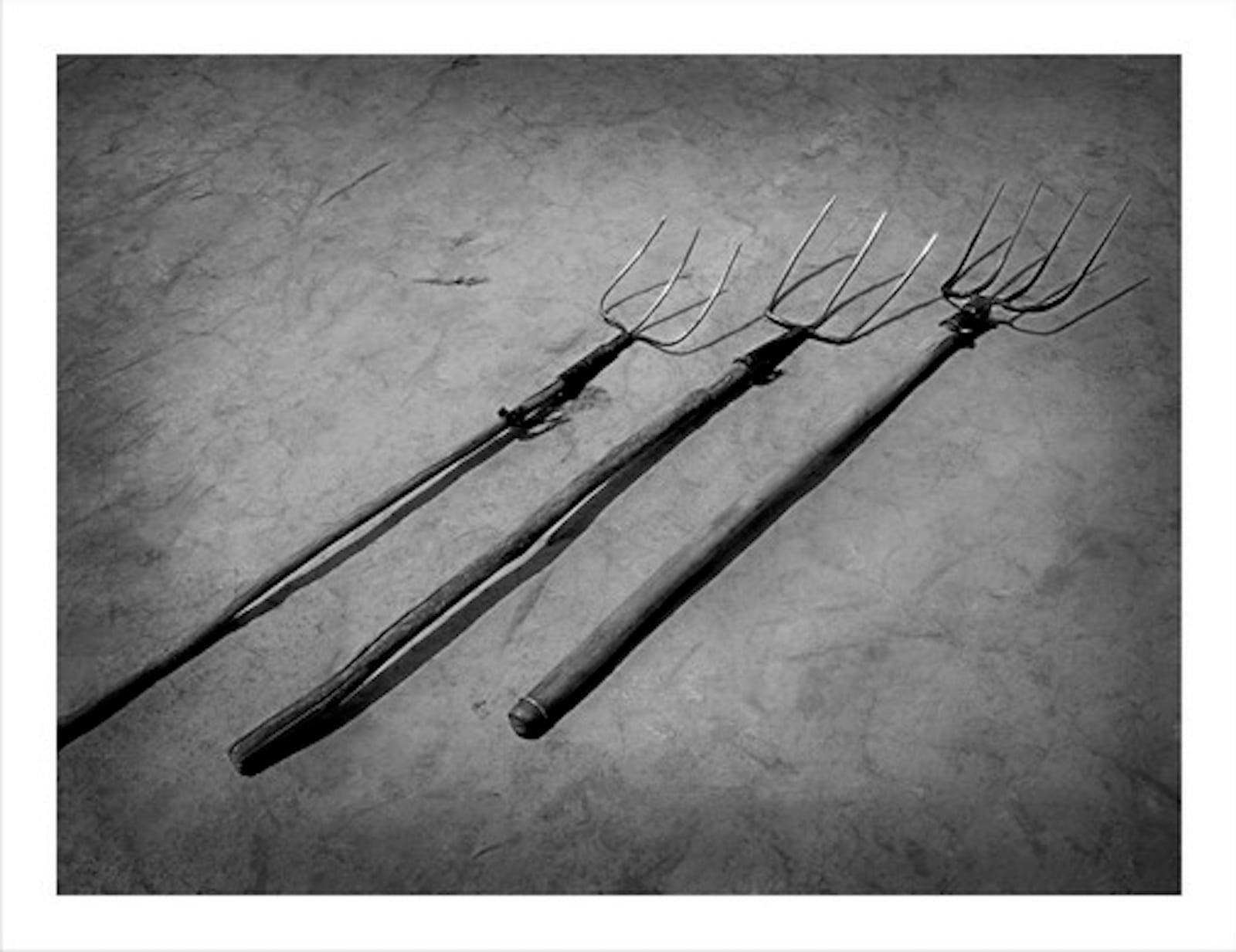 WANG Zheng, Fork Wudaoling, Ningxia Province 叉 宁夏五道岭, 2008