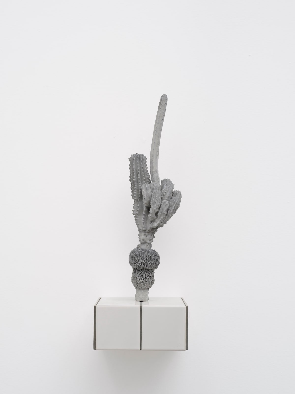 ZHANG Ruyi, Individual Plant-29 一株-29, 2019
