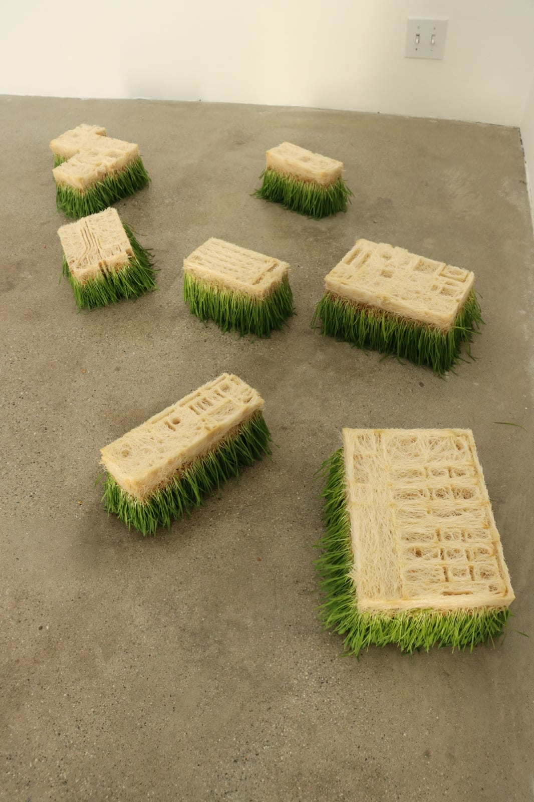 Beverley Duckworth, Source, 2024