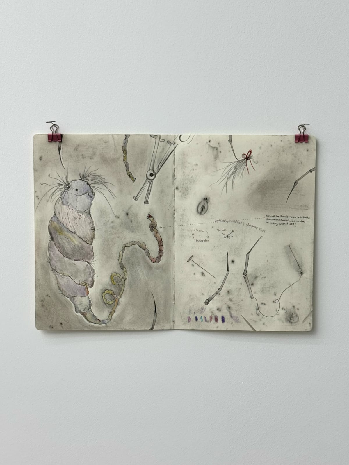 Ophelia Arc, Revenge model (mapped), 2025