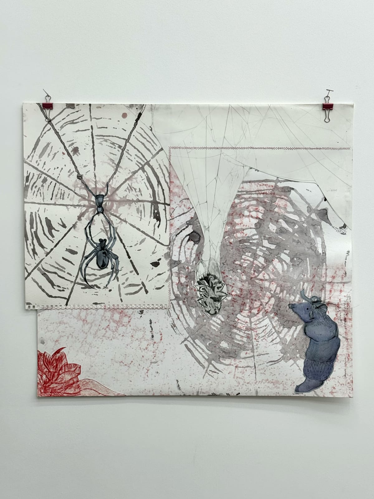 Ophelia Arc, Prey & predator, 2025