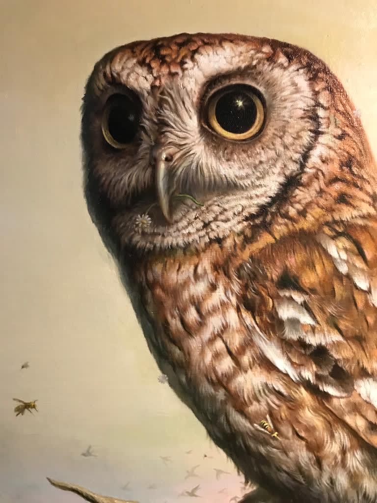 Koh Kisung, Tumult, 2020