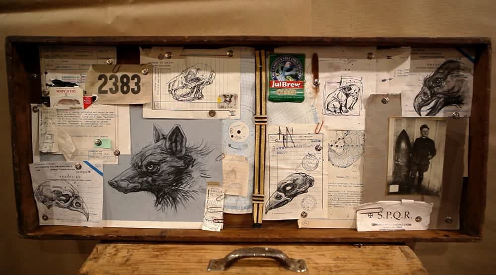ROA, Roma Collage, 2014