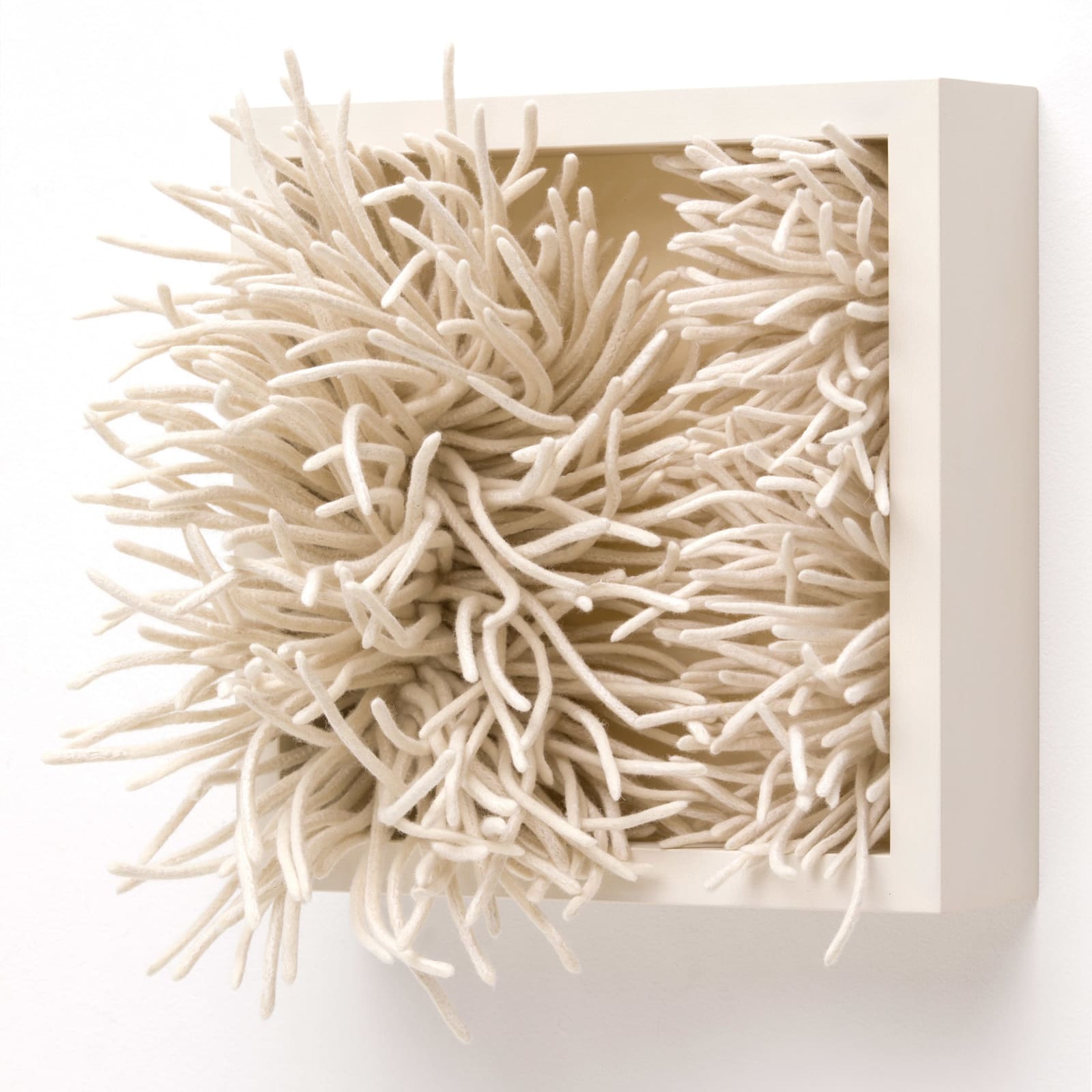 Kristy Kún, Contumacious, 2017