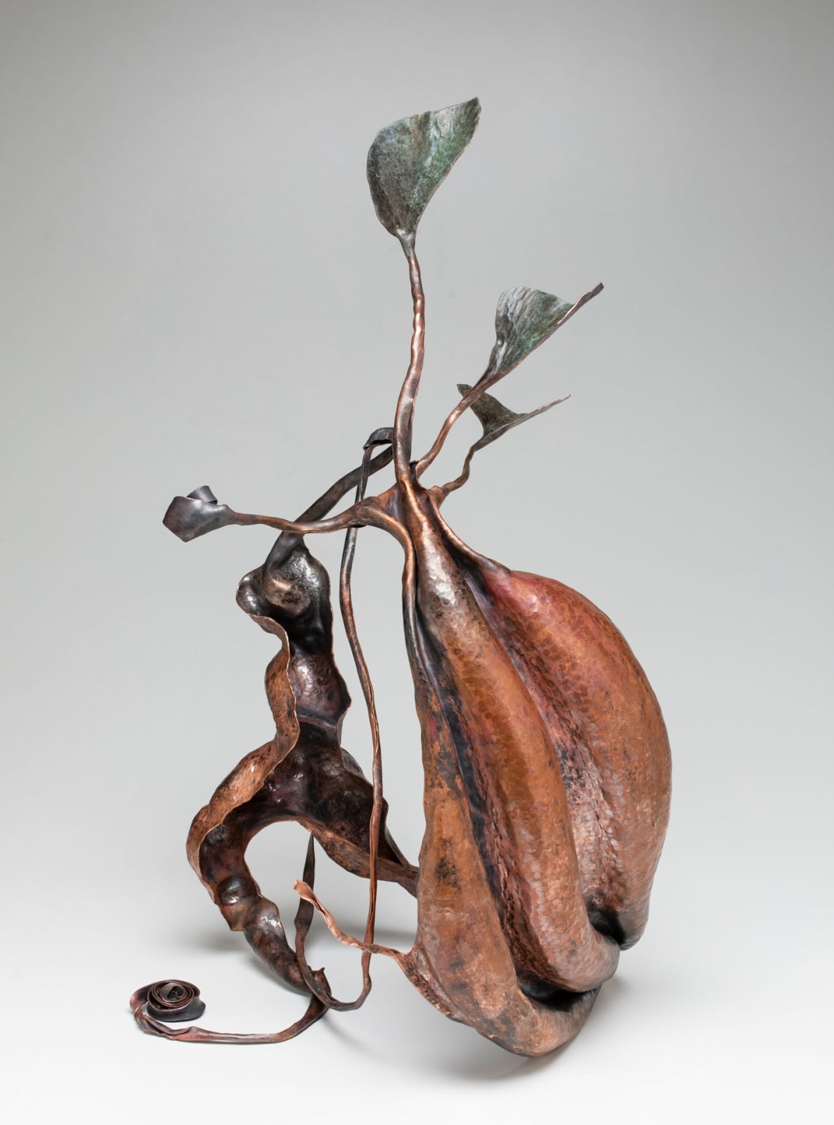 Greg Wilbur, Persister, 2019