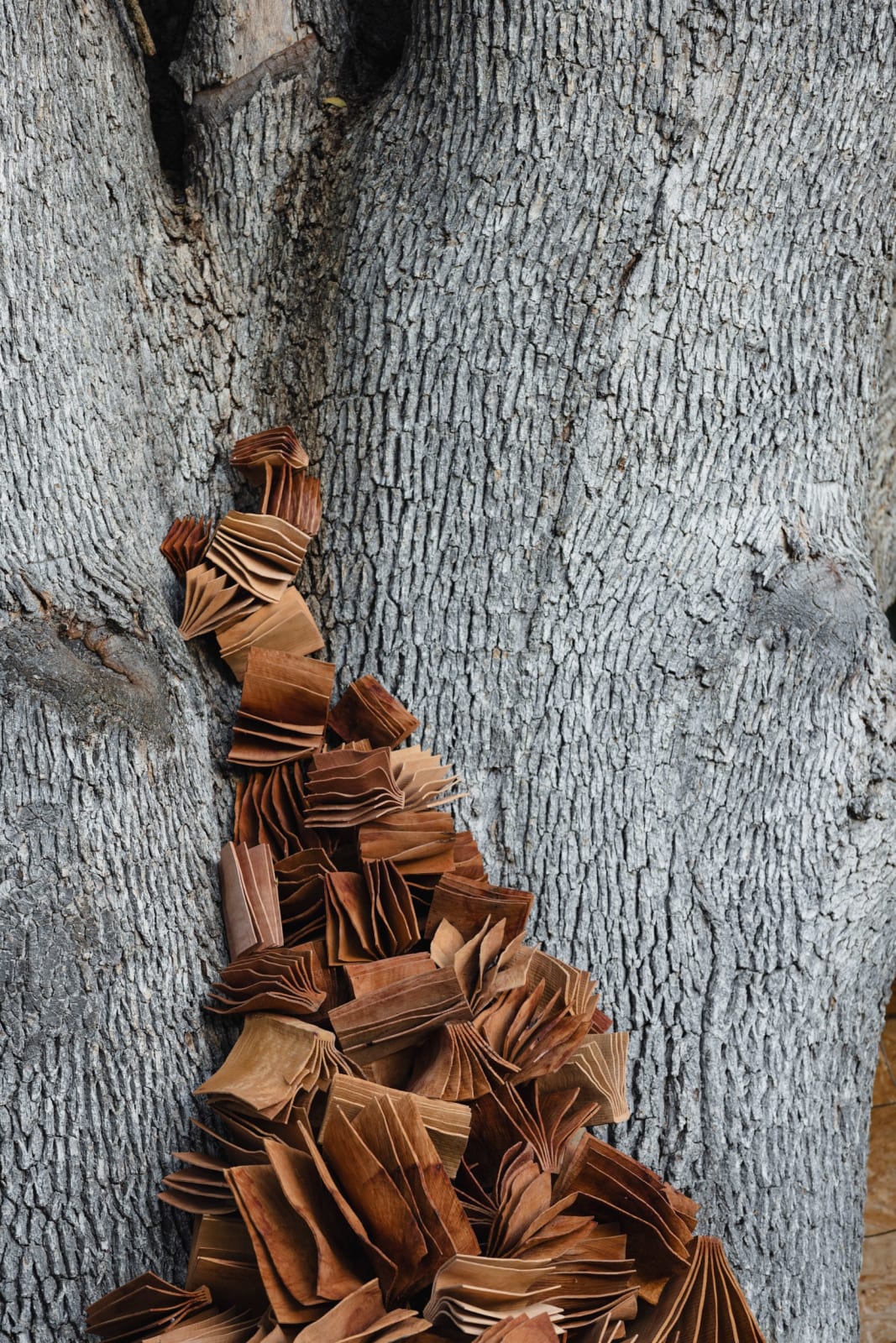 Christian Burchard, Climbing, 2024