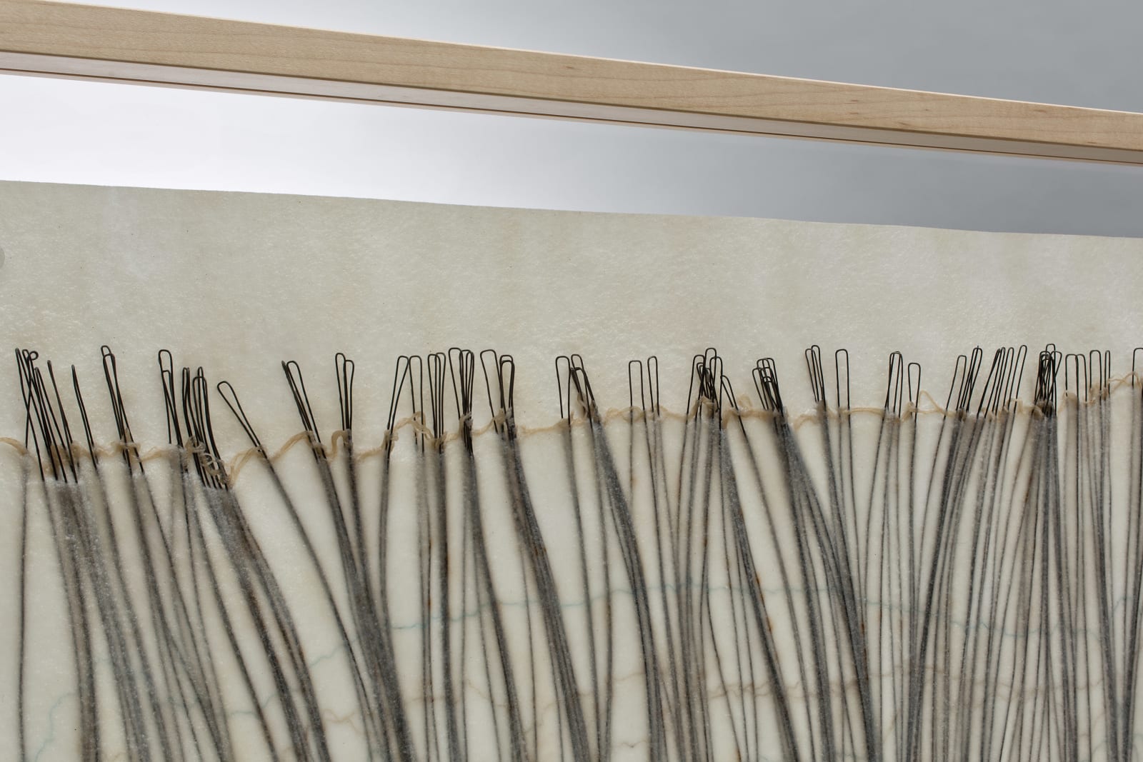 Kristy Kún, The Wind Whipped Wild two, 2017