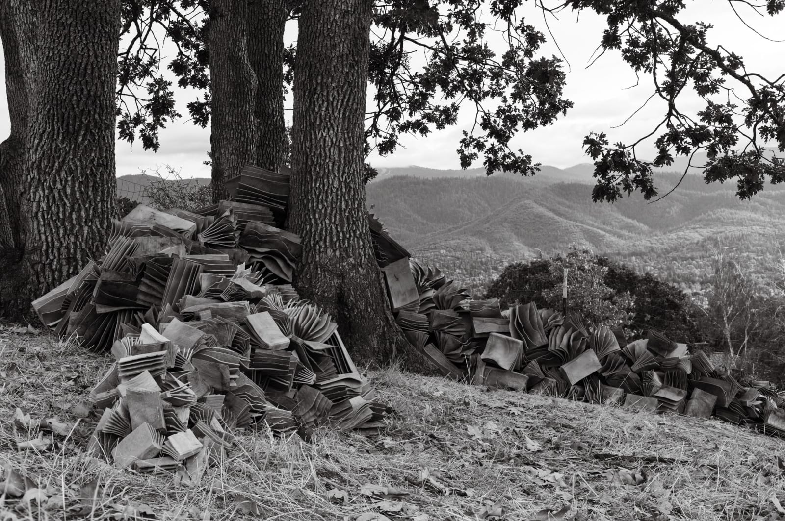 Christian Burchard, A River of Books no. 2, 2024