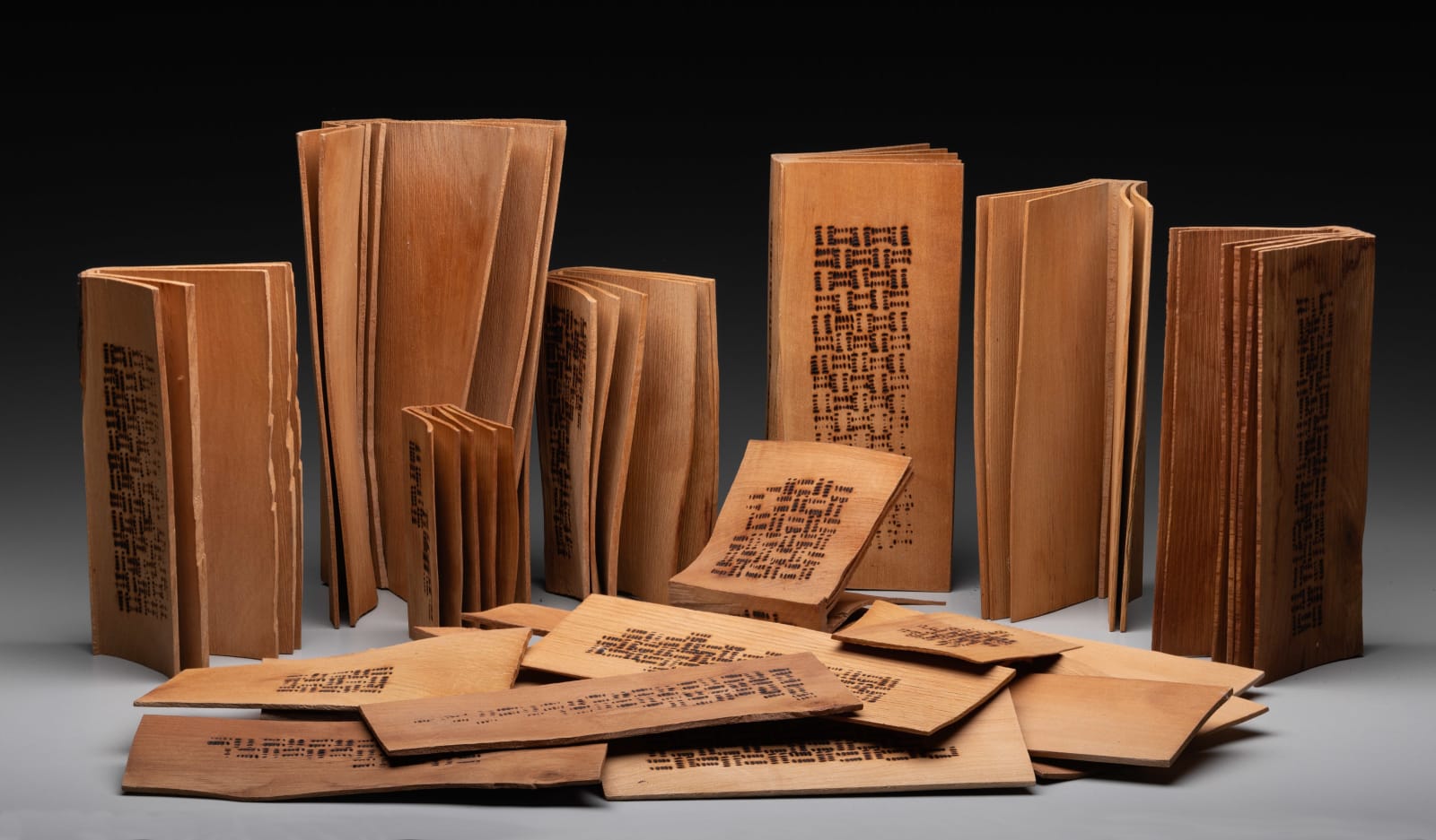 Christian Burchard, Will We Ever Learn? ...History Redacted, 2025