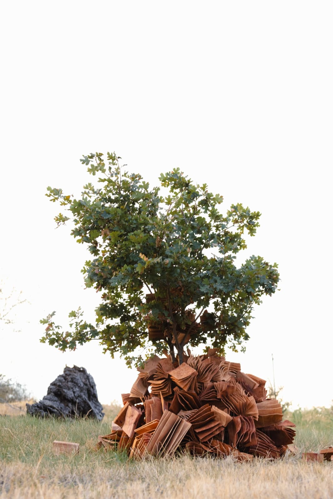 Christian Burchard, Emerging no. 1, 2024