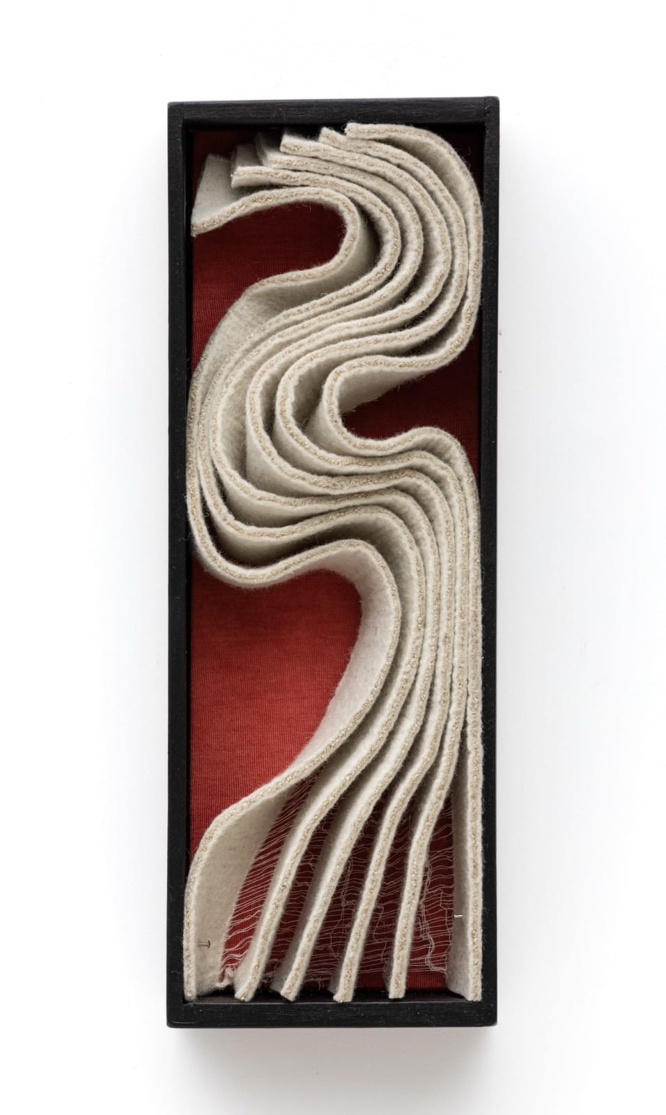 Kristy Kún, Specimen Series, 2019