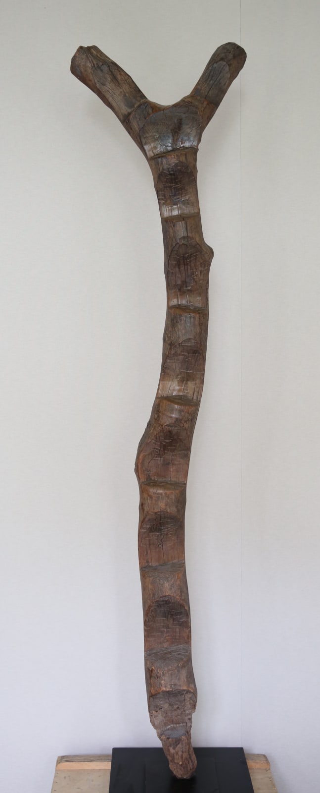 Anonymous Dogon artist, Mali, Ladder, Mid 20th century