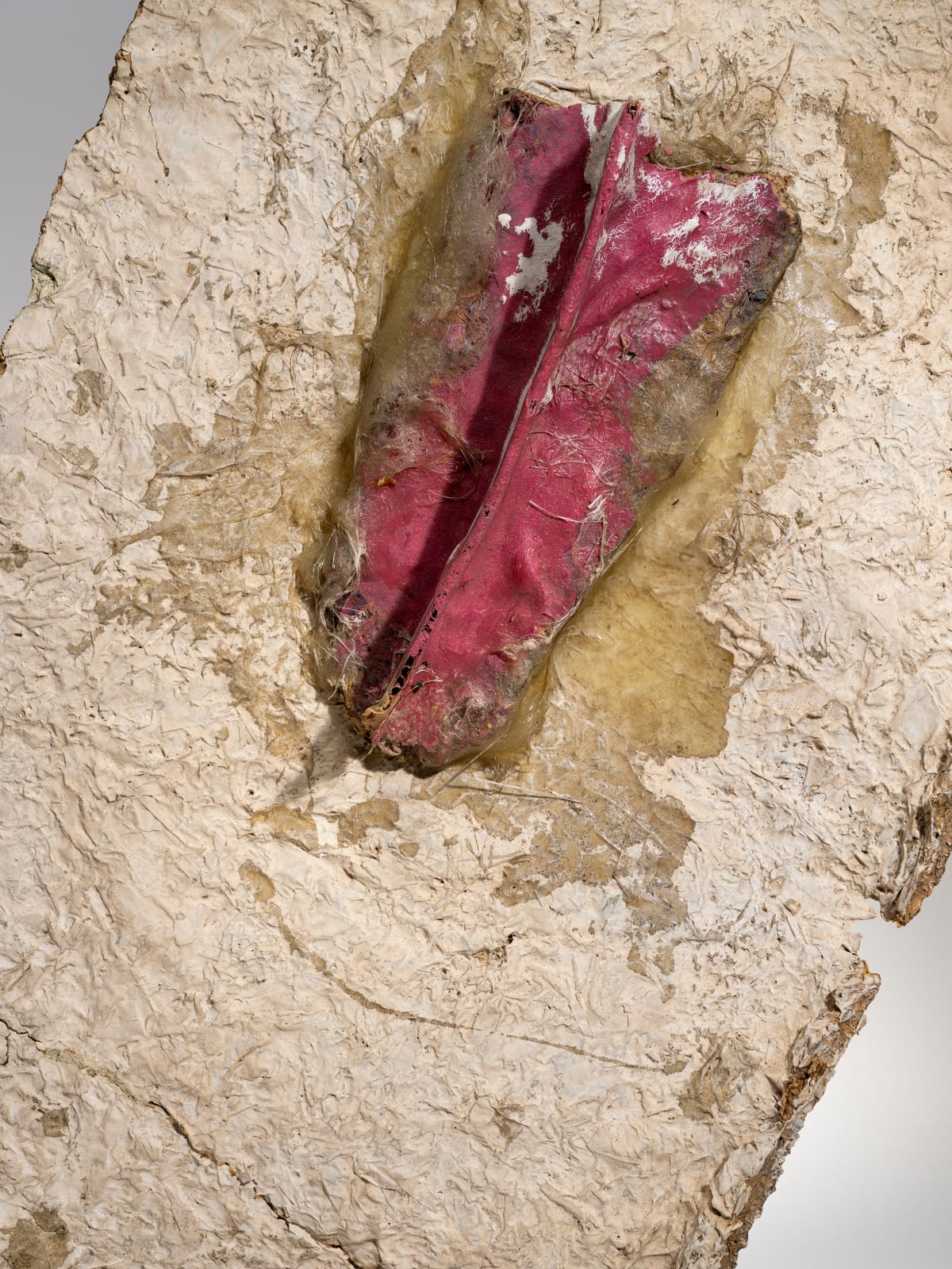 Franz West, Der Sittsamkeit spottend, 1981
