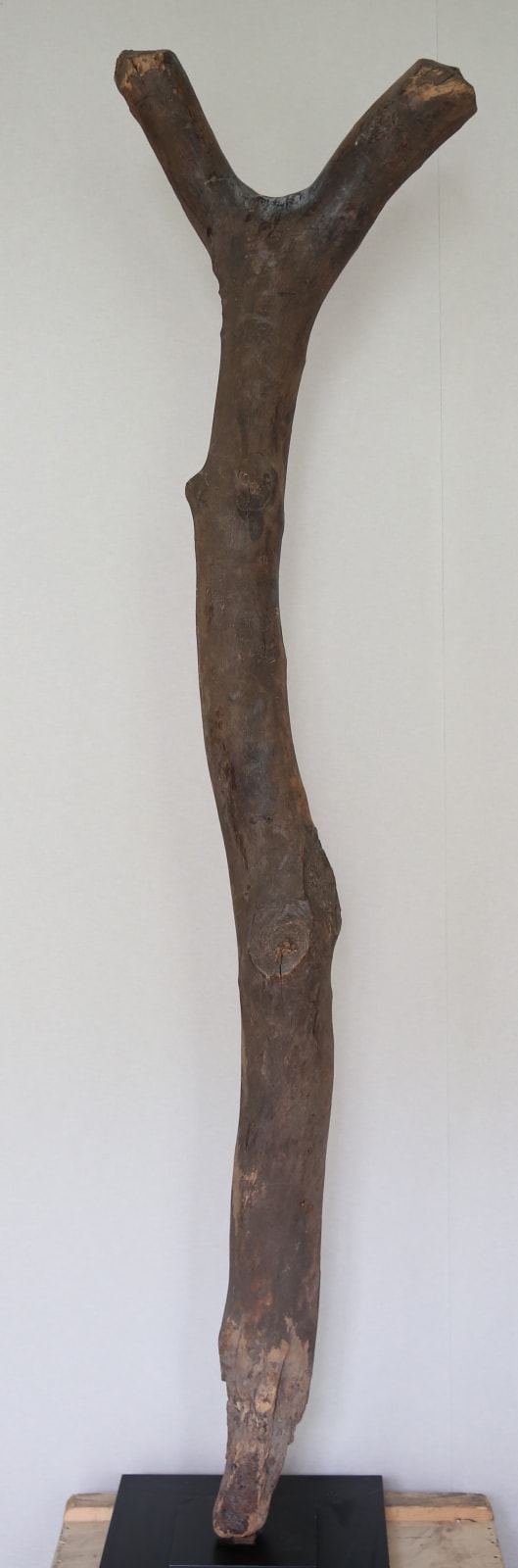 Anonymous Dogon artist, Mali, Ladder, Mid 20th century