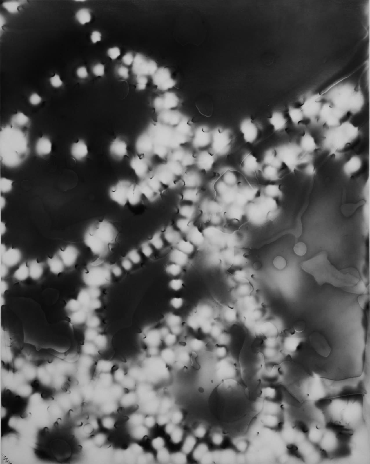 Michael Flomen, Higher Ground no. 8, 2011