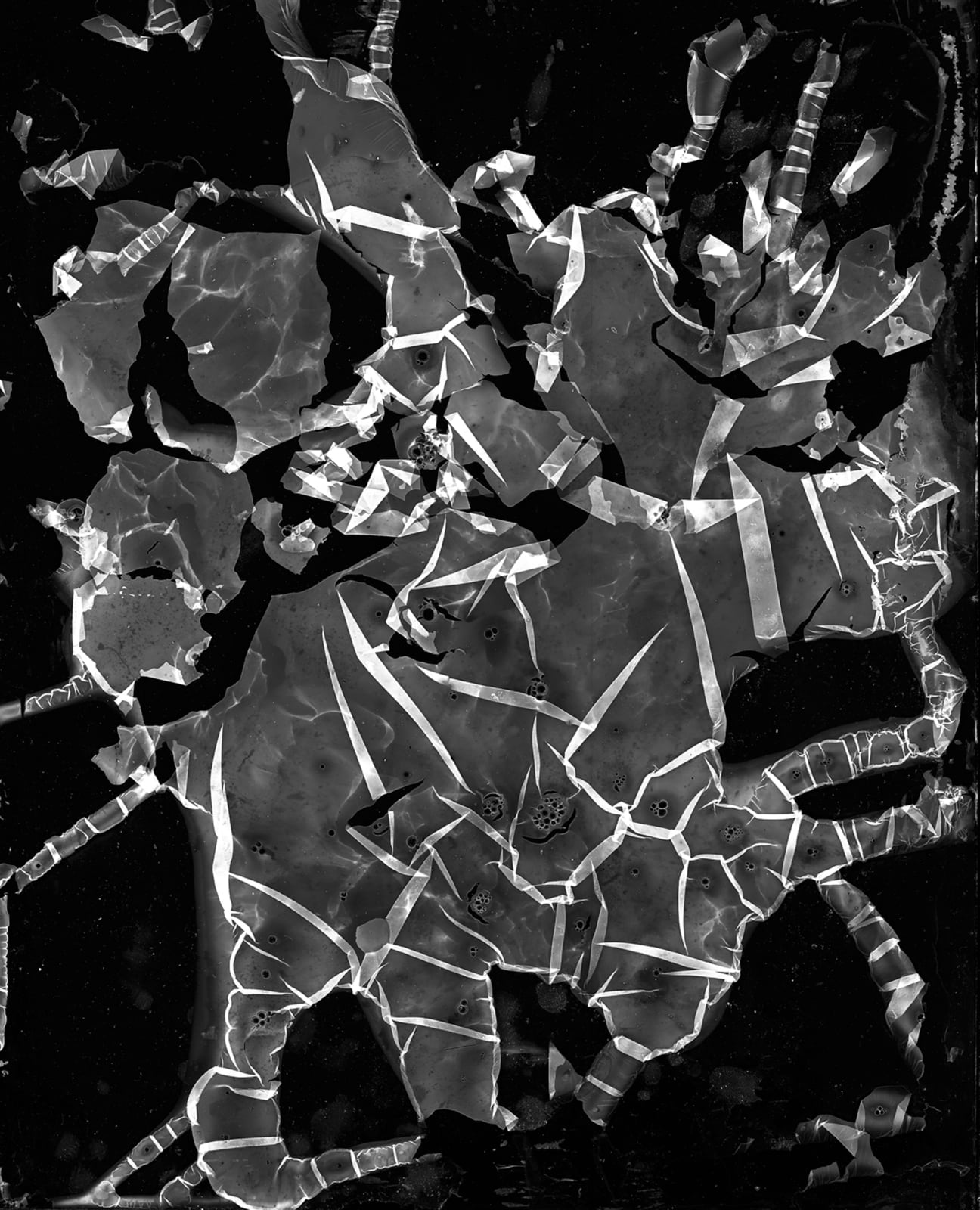 Michael Flomen, The Last Elephnat Aerial View, 2014