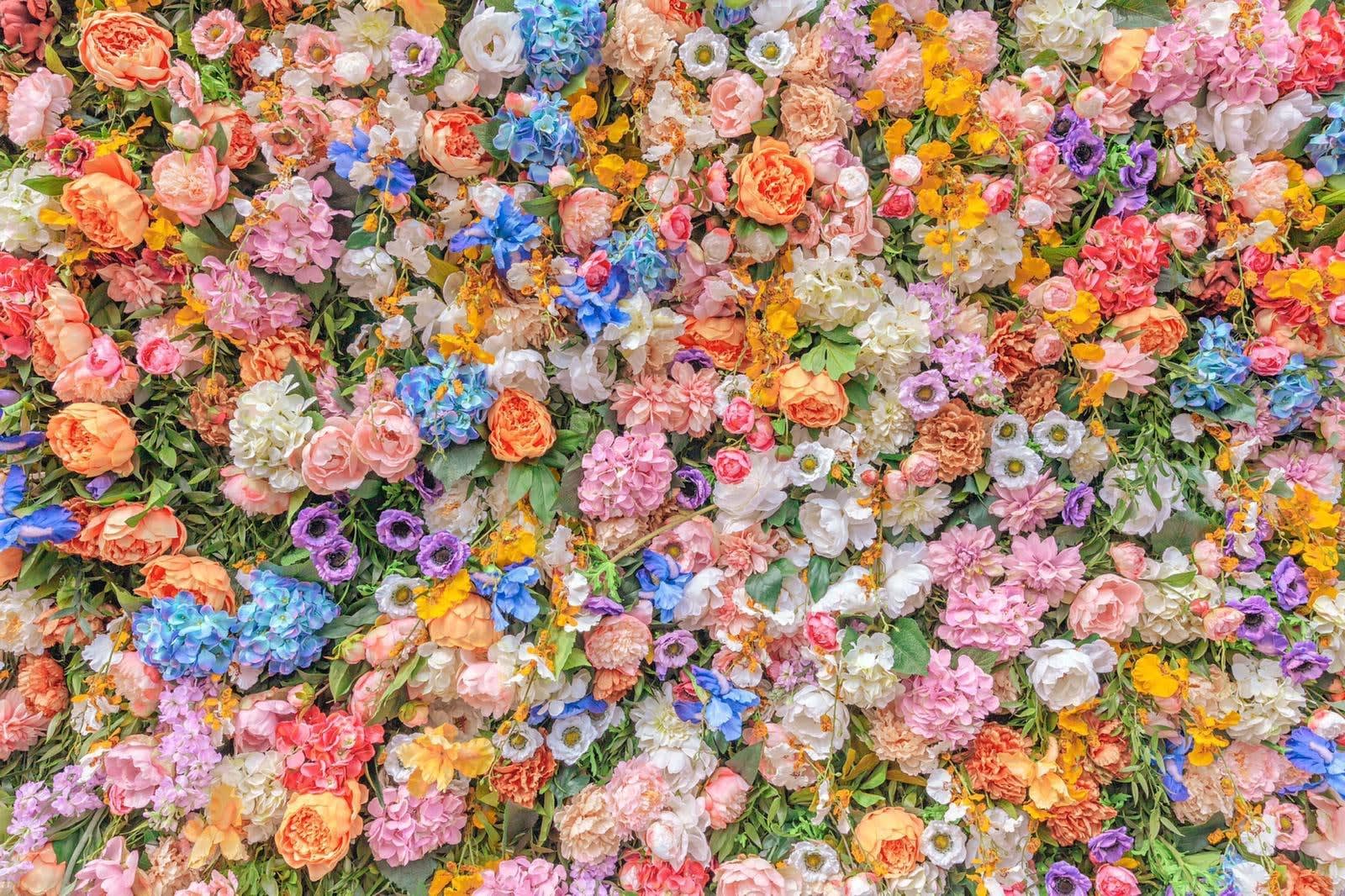 Ben Thomas, Flowers in Milan, 2019