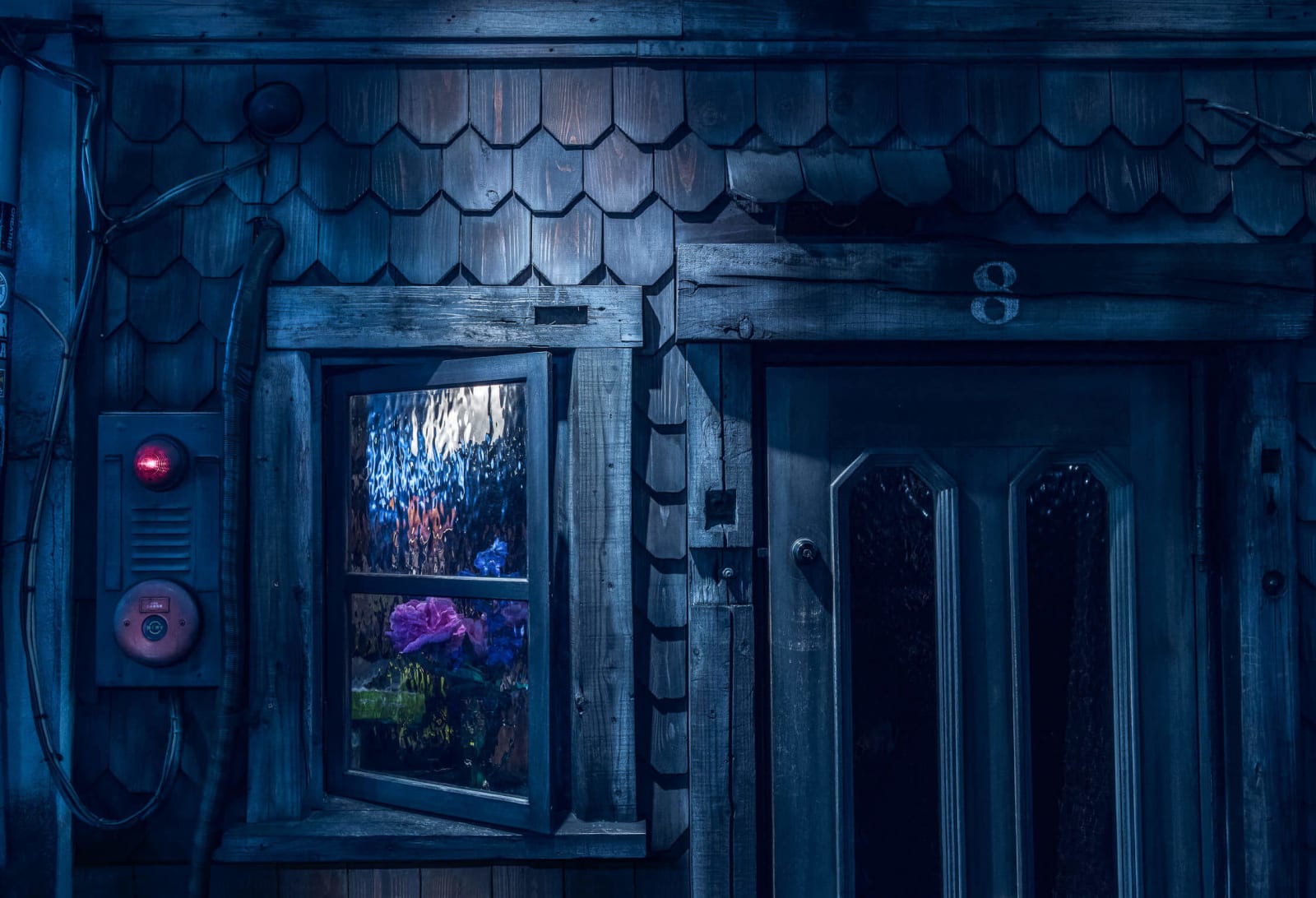 Tom Blachford, Fluted Rose, 2019