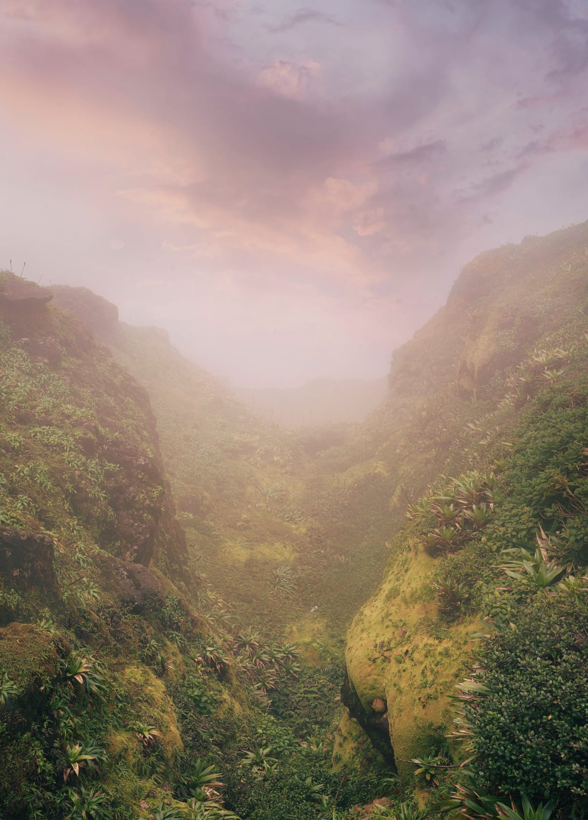 Kristina Chan, Moonrise, 2023