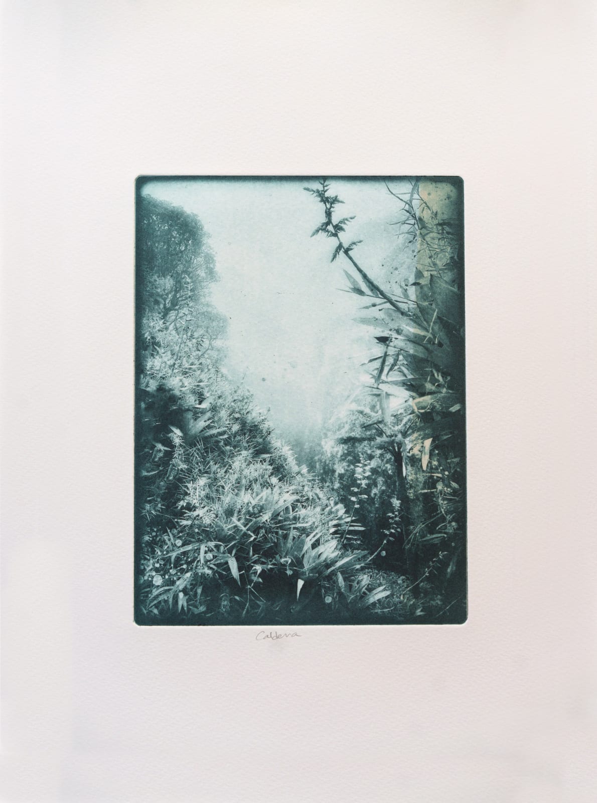 Kristina Chan, Caldera, 2023