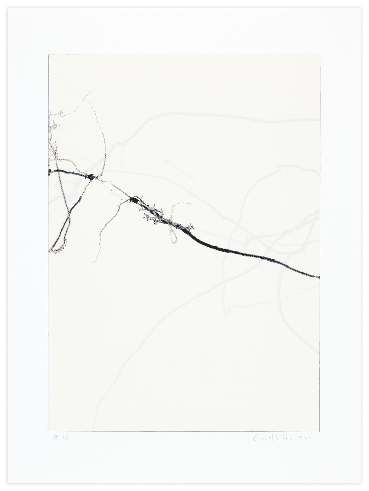 Emil Lukas Bubble Up Anatomy Edition Print