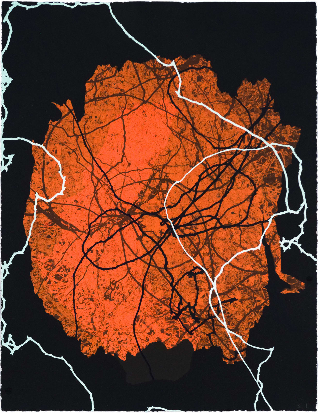 Emil Lukas Double Event Larva 1900 Mono Print