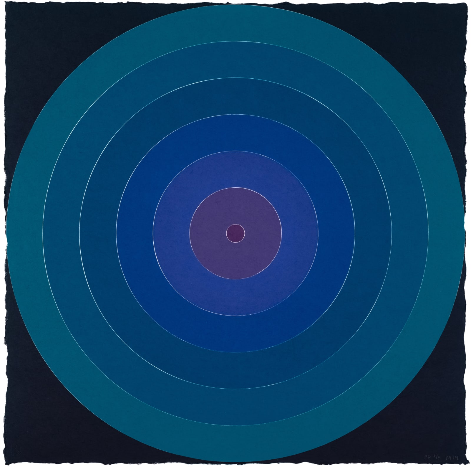 Polly Apfelbaum On Target Blue Print Edition