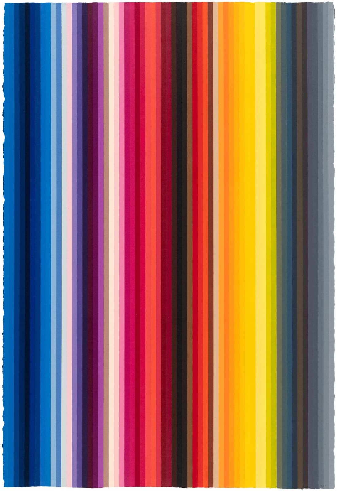 Polly Apfelbaum Durham Press Rainbow Woodblock Monoprint