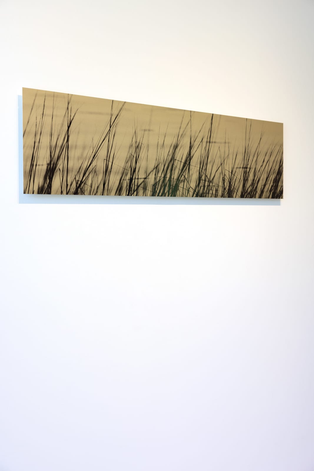 Ray Charles White, Deep Creek Grass, 1999